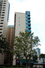 Blk 609 Bukit Panjang Ring Road (Bukit Panjang), HDB 5 Rooms #217552